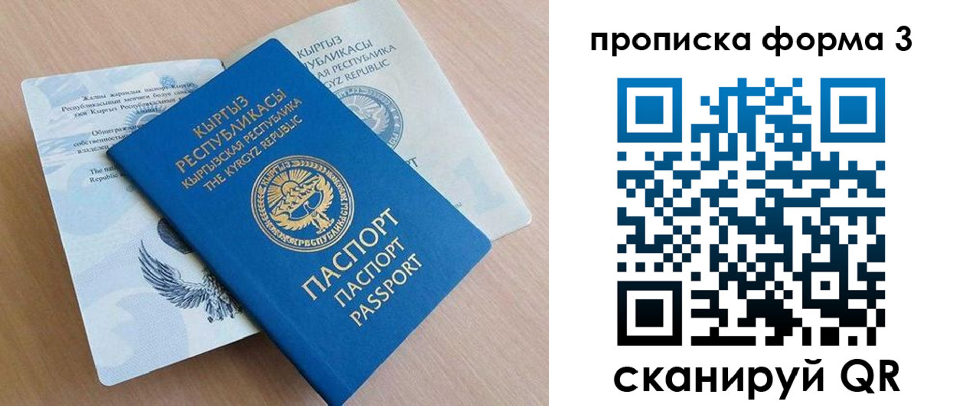 где прописаться в Купино