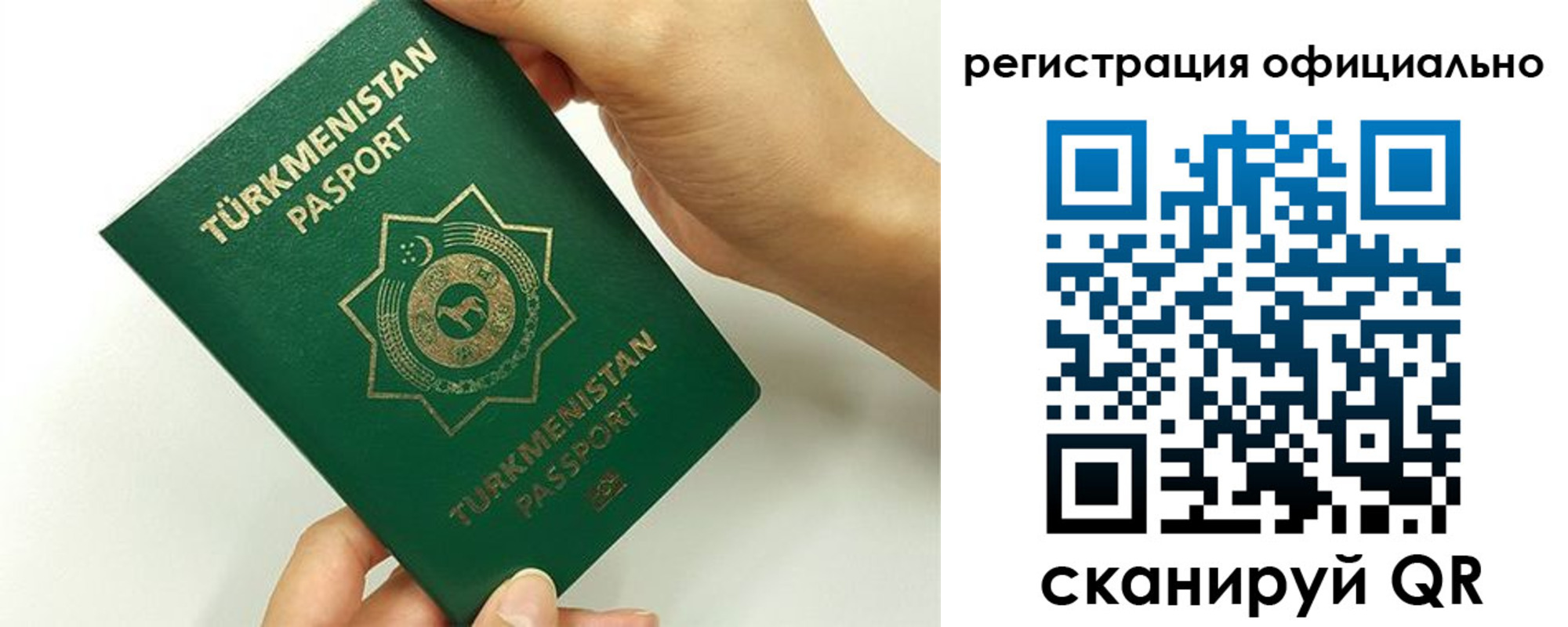прописка поиск в Купино