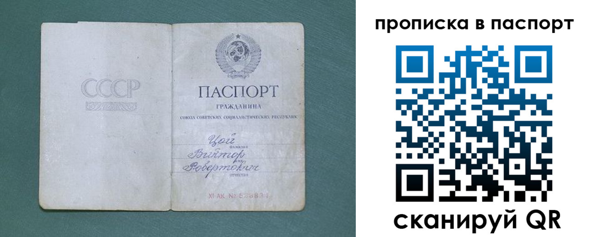 пропишу в квартире в Купино